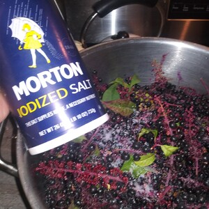 May include: A blue and white Morton Iodized Salt container is held over a bowl of dark berries and stems. The salt is being sprinkled over the berries. The container has a yellow figure with an umbrella.