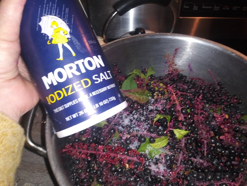 May include: A blue and white Morton Iodized Salt container is held over a bowl of dark berries and stems. The salt is being sprinkled over the berries. The container has a yellow figure with an umbrella.