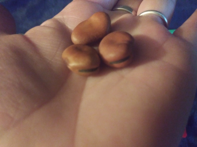 13 Hoodoo Wishing Beans-In a Mojo Bag bild 7