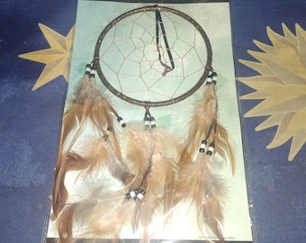 May include: A brown dreamcatcher with a circular frame and a webbed center. It features hanging brown feathers and decorative beads. The dreamcatcher is displayed on a light green background.