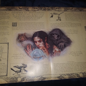 May include: A detailed book page on divination and crystal gazing, featuring illustrations of a woman with a crystal ball, a cat, and a Grim Reaper. Text includes "Palmistry" and "Specula". Measurements are not applicable.