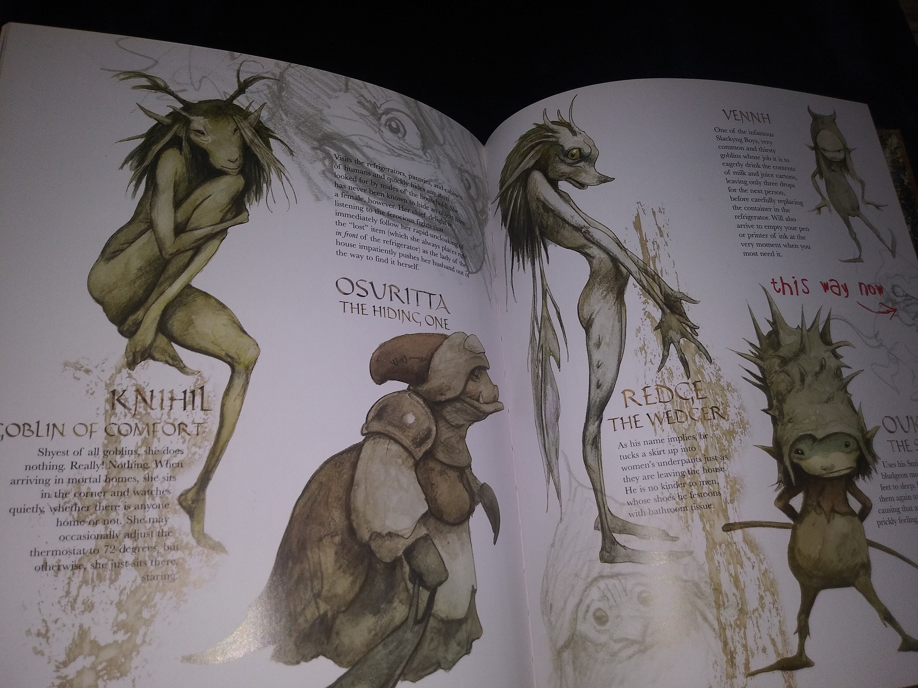 Goblins by Brian Froud-an Awesome-fun-vintage Fairy Goblin Book