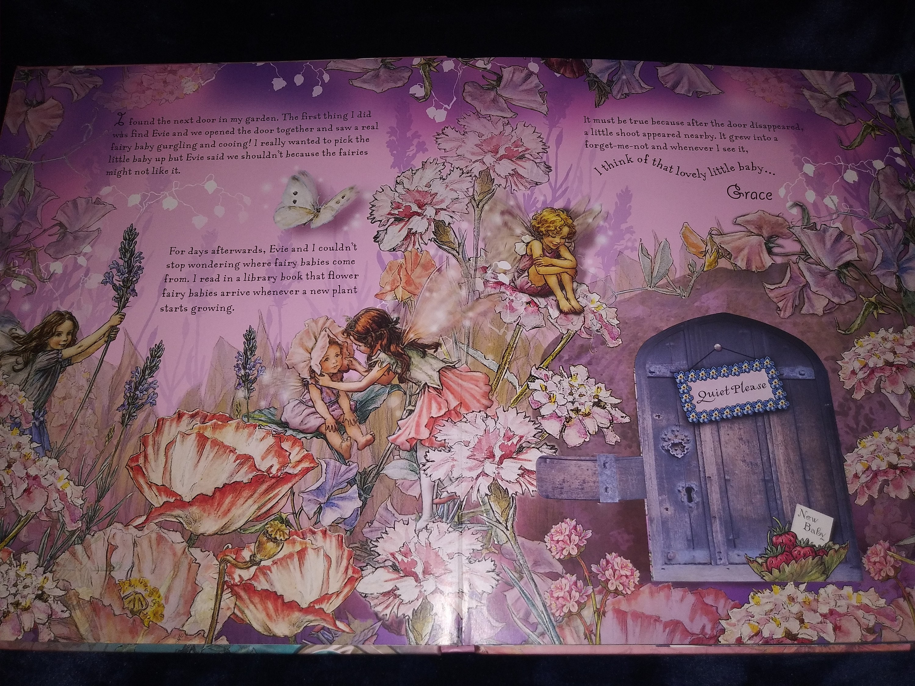 Flower Fairies Magical Doors-original - Etsy