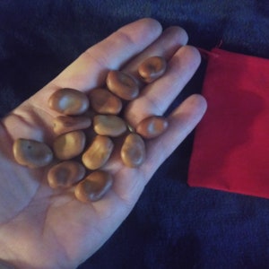 13 Hoodoo Wishing Beans-In a Mojo Bag bild 8