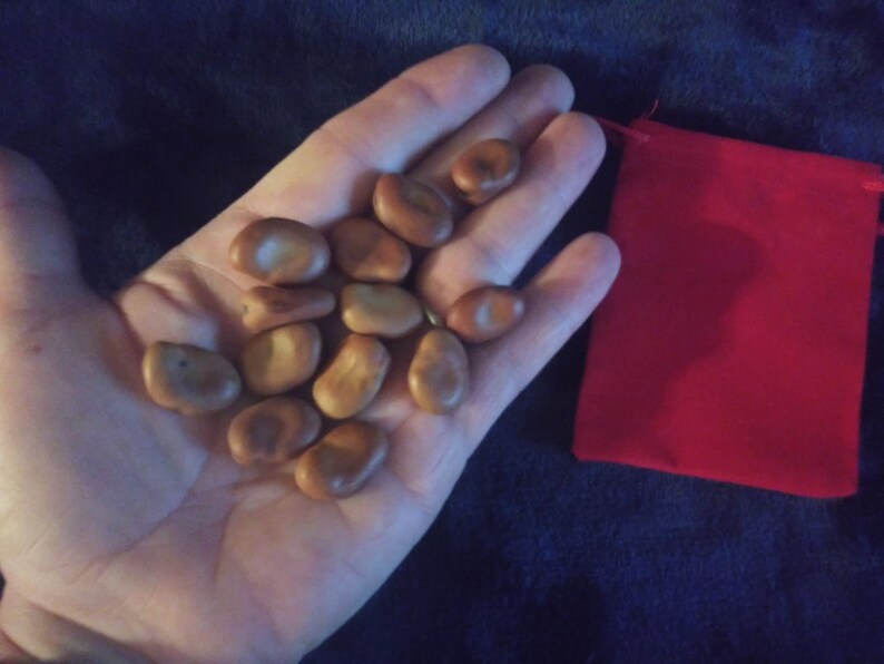 13 Hoodoo Wishing Beans-In a Mojo Bag bild 8