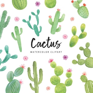 Clipart de cacto aquarela, suculentas, clipart digital para download, flores, convite, scrapbooking de cactos, uso comercial pessoal