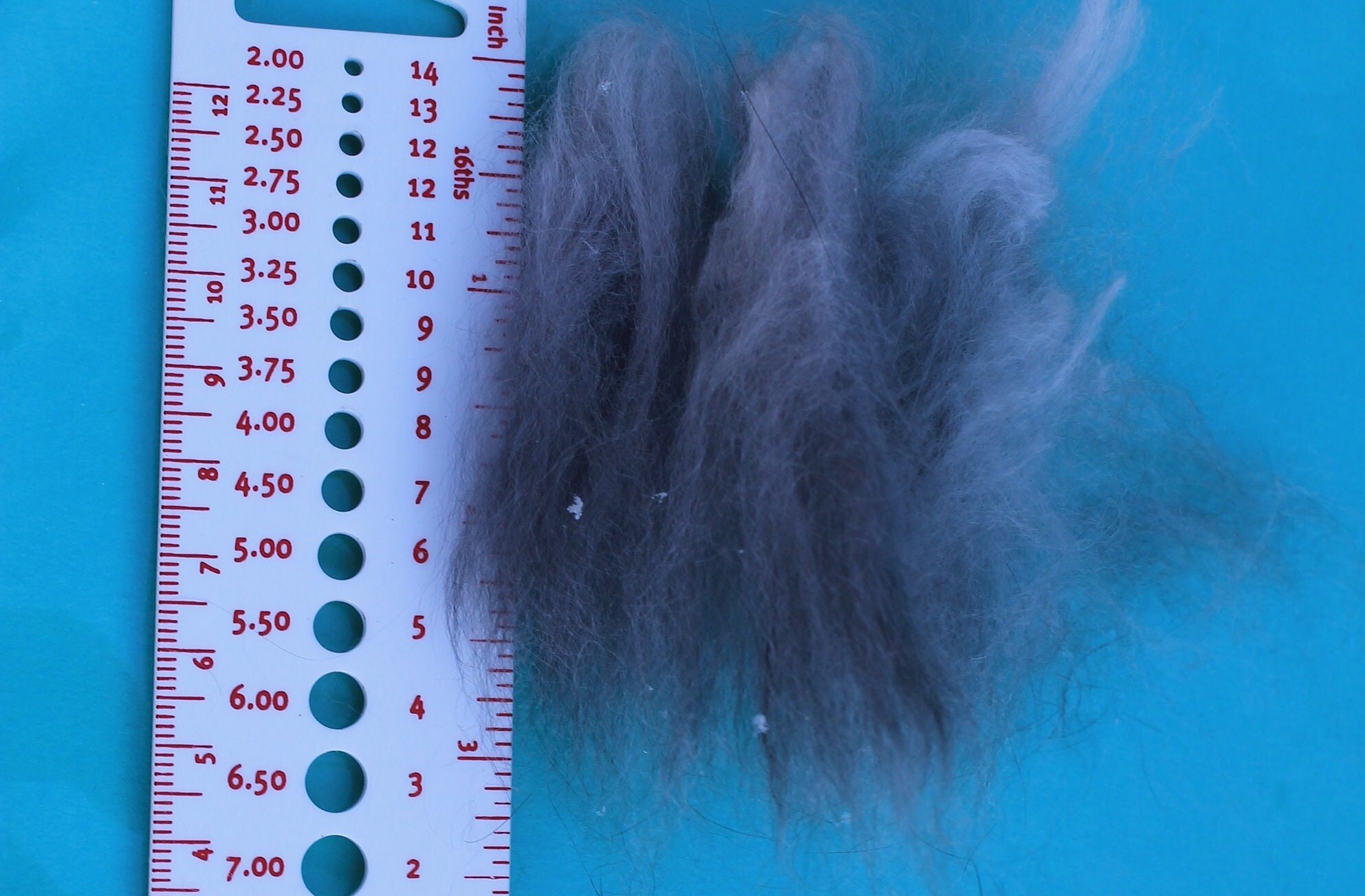 Dark Grey Rabbit Fiber for Spinning, Felting, German Angora Wool ...