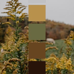 Paleta de cores de flores amarelas