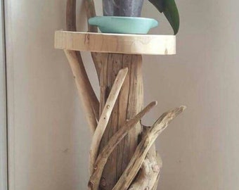 Driftwood plant table