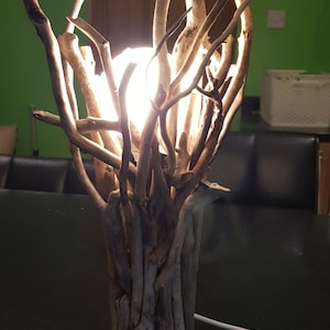 Driftwood lamp