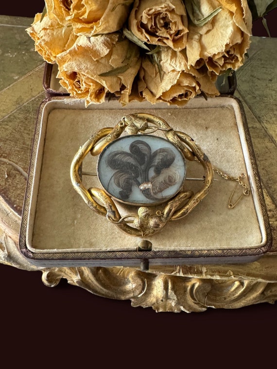 Antique Victorian 19th Century Gilded Mourning Sentimental Brooch Hair Art Jewelry. the Duchess Etsy Canada