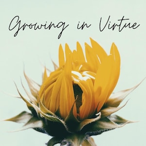Growing in Virtue: Catholic Prayer Cards