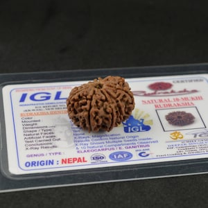 IGL Certified Ten Mukhi Rudraksha Bead | 10 Mukhi Rudraksha Bead Nepal | Ten Face Rudraksha | 10 Face Nepali Rudraksha Bead | Silver Pendant