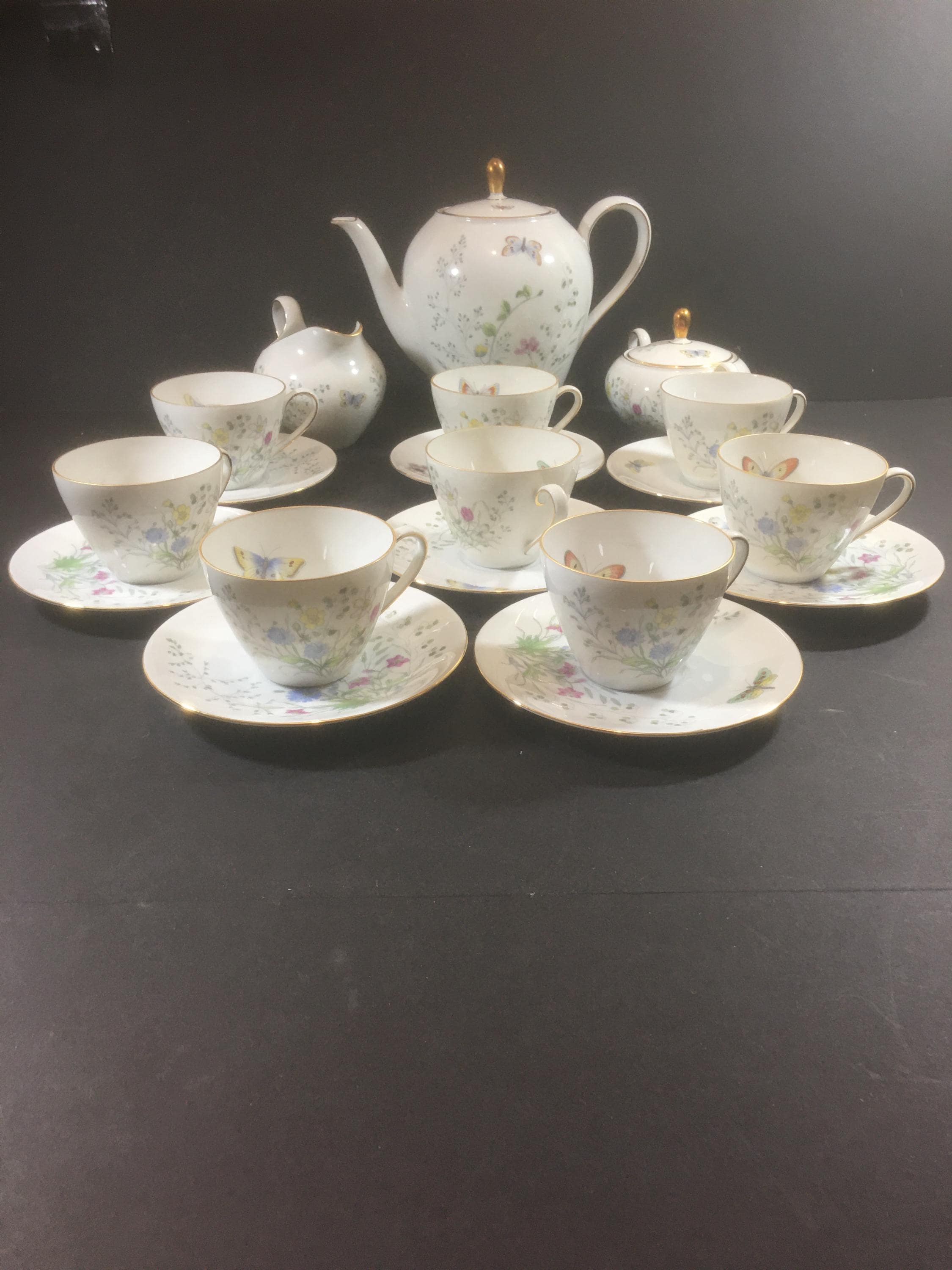 Seltmann Weiden Bavaria 1960s China Butterflies Dragonflies & Wildflowers 8 pieces Coffee Pot set.