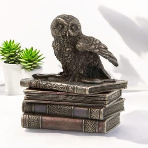 Owl on Books Trinket Box, Wisdom Symbol Statue, Gift for Teacher or Book Lover, Secret Jewelry Box, Study or Office Decor, Statue on stone