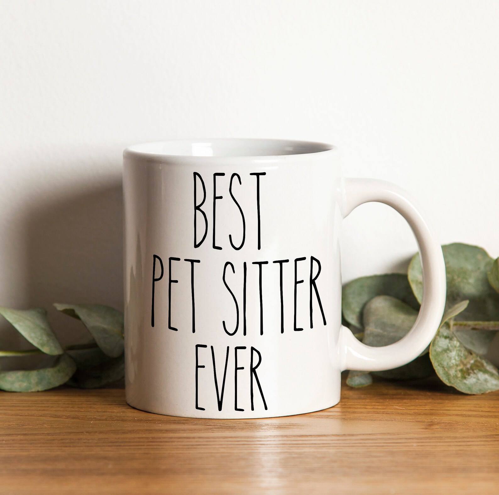 Pet Sitter Gift Mug Best Pet Sitter Ever Mug Cute Pet Mug Etsy