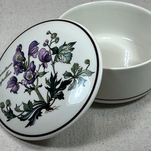 Villeroy & Boch BOTANICA ビレロイボッホ ２枚　27ｃｍ Villeroy & Boch BOTANICA ビレロイボッホ 2枚 27cm Villeroy