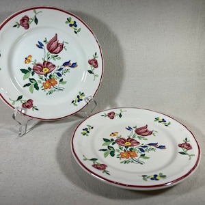Coppia Vintage Ceramica Quadrifoglio Primula Floreale Piatti da Pranzo in Terracotta Rosso Verde Blu Fiori Bianco / Made in Italy / 8&quot;