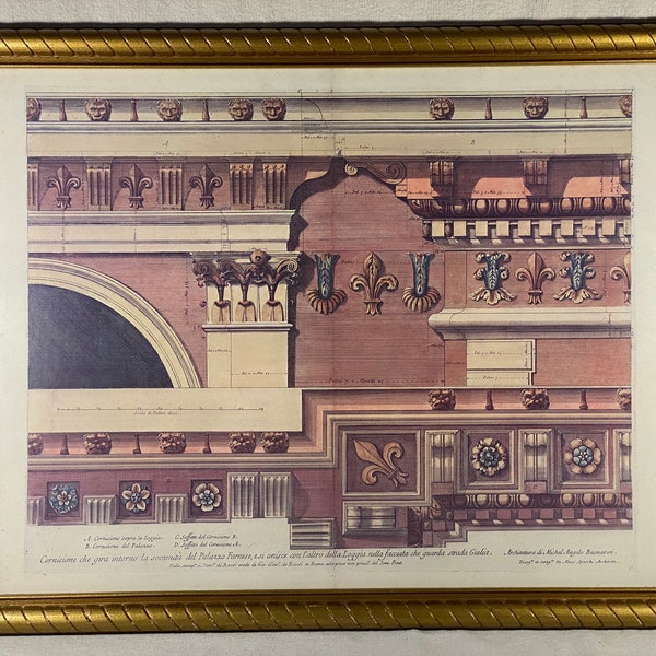 Vintage Michelangelo Framed Architectural Renderings Fine Art Print Classical Capital Column Italian Renaissance Gilt Frame Pier 1