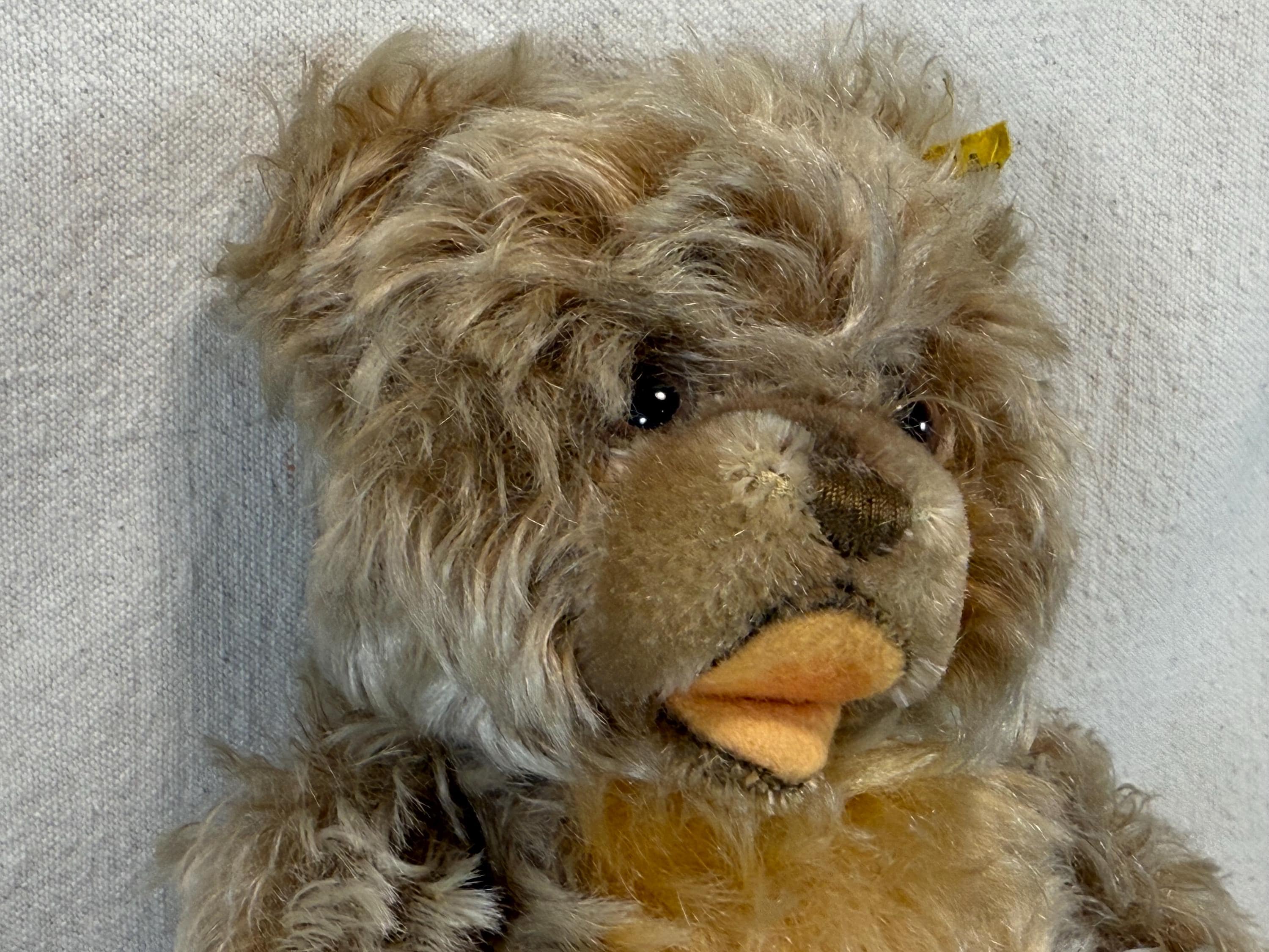 ヴィンテージ シュタイフ ゾッティ ジョイント 11インチ モヘア