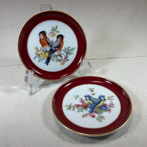 Vintage Pair of Kaiser Porcelain Birds 4” Mini Display Plates with Gold Rim Red Band | Bullfinches & Bluebirds | Hand-Painted W. Germany