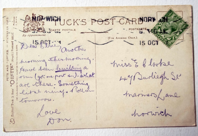 Tuck/'s /'Oilette/' Postcard of Puppies in Barn