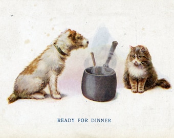 C. W. Faulkner Postcard of Dog and Cat 'Ready for Dinner', Vintage Dog Cat Kitten Postcard