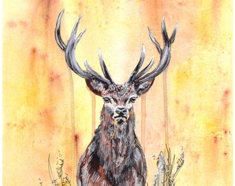 Stag, Deer, British Wildlife, Deer Giclee Print, Stag Giclee Print, Water colour Stag, Mixed Media Stag, painting, Home Interiors,home decor