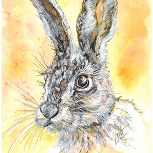 Hare, Winter Hare, Original water colour Hare, British Hare, Wildlife, Hare, Water colour Hare, Mixed Media Hare, Rabbit, Home Interiors