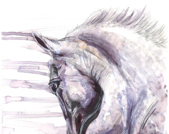 Horse painting - Horse art - Horse Giclee print - print of my original water colour painting - Equine art - contemporary horse art print