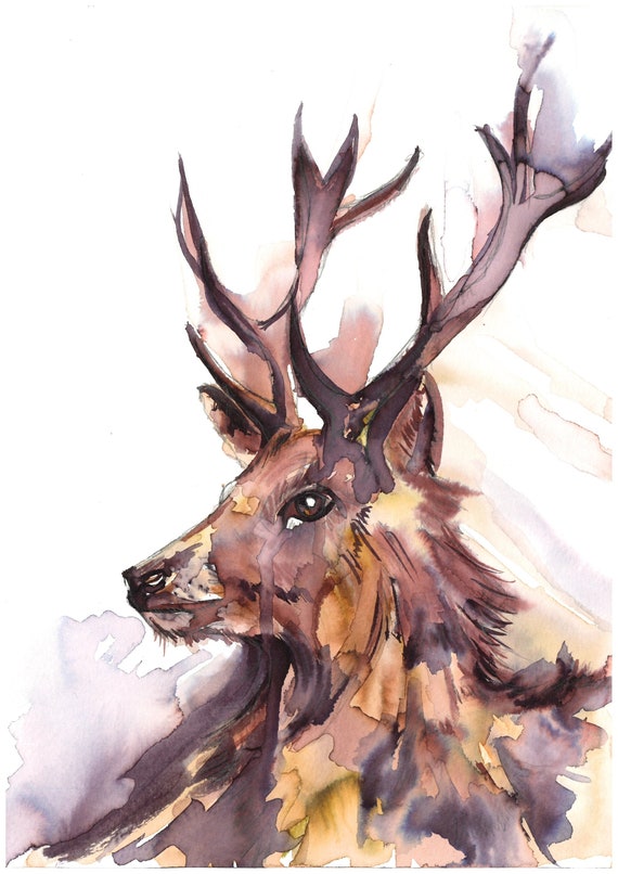 Stag Deer British Wildlife Deer Giclee Print Stag Giclee Print Water Colour Stag Mixed Media Stag Painting Home Interiors Home Decor