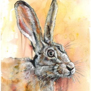 Hare painting, Hare art, Wildlife art, Hare Giclee Print, Hare watercolour, Hare, Bunny art, rabbit art, rabbit painting, rabbit print
