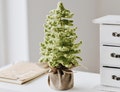 Farmhouse Christmas Tree Crochet Pattern: 8" Mini Tabletop Decor (PDF Pattern)
