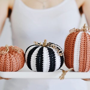 Peut inclure: Trois citrouilles en crochet dans un plateau blanc. Les citrouilles sont rayées de noir et blanc, de brun et blanc, et de brun uni.