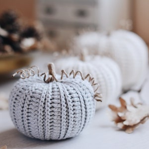 Puede incluir: Tres calabazas de crochet, una gris y dos blancas, con un tallo de rama marrón y una vid marrón rizada. Las calabazas están sobre una superficie blanca.