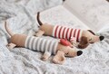 Crochet Dachshund Dog Pattern \u2013 Amigurumi Puppy PDF Tutorial, Beginner-Friendly Digital Download