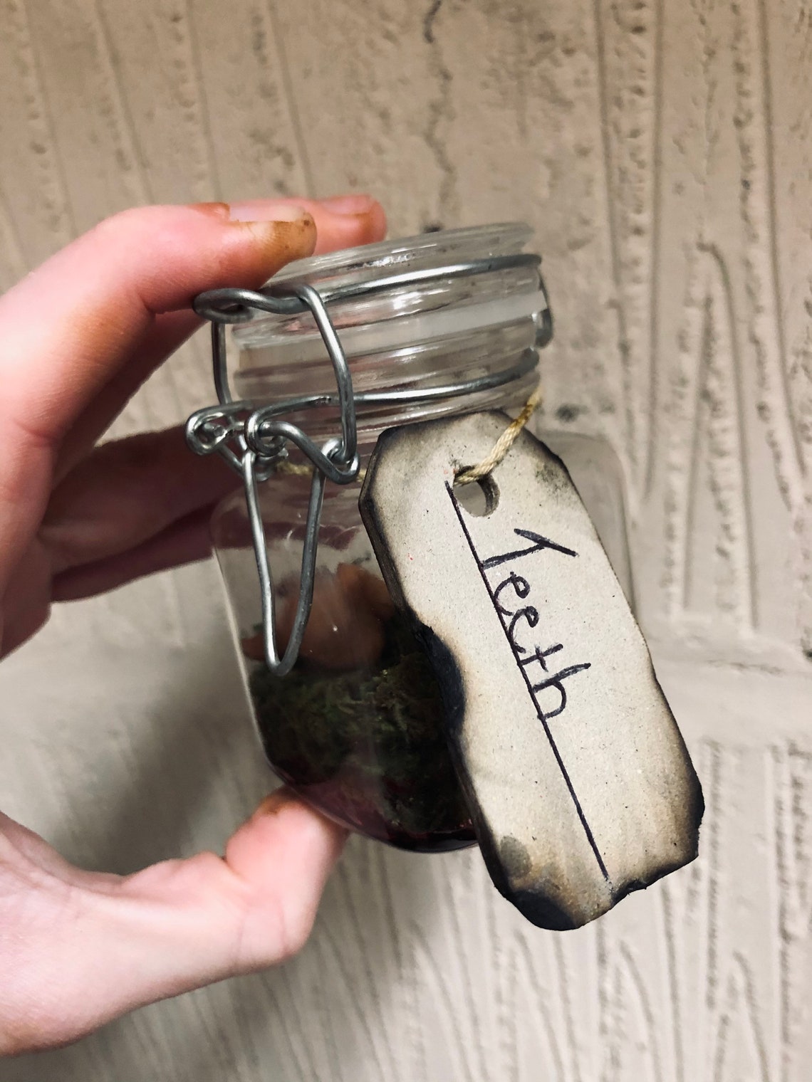 Handmade Human Teeth Jar specimen oddity curiosities Etsy