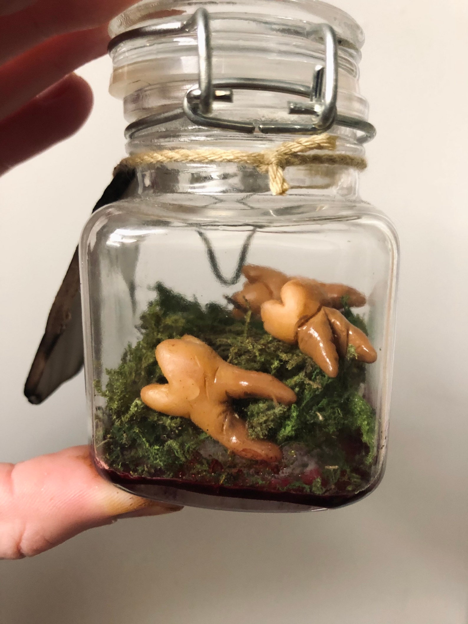 Handmade Human Teeth Jar specimen oddity curiosities Etsy