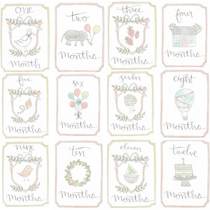 Watercolor Baby Girl Milestone Cards: First Year Memories