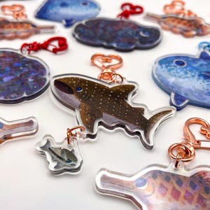 Whale Shark and Sucker Fish Crossing Acrylic Charm