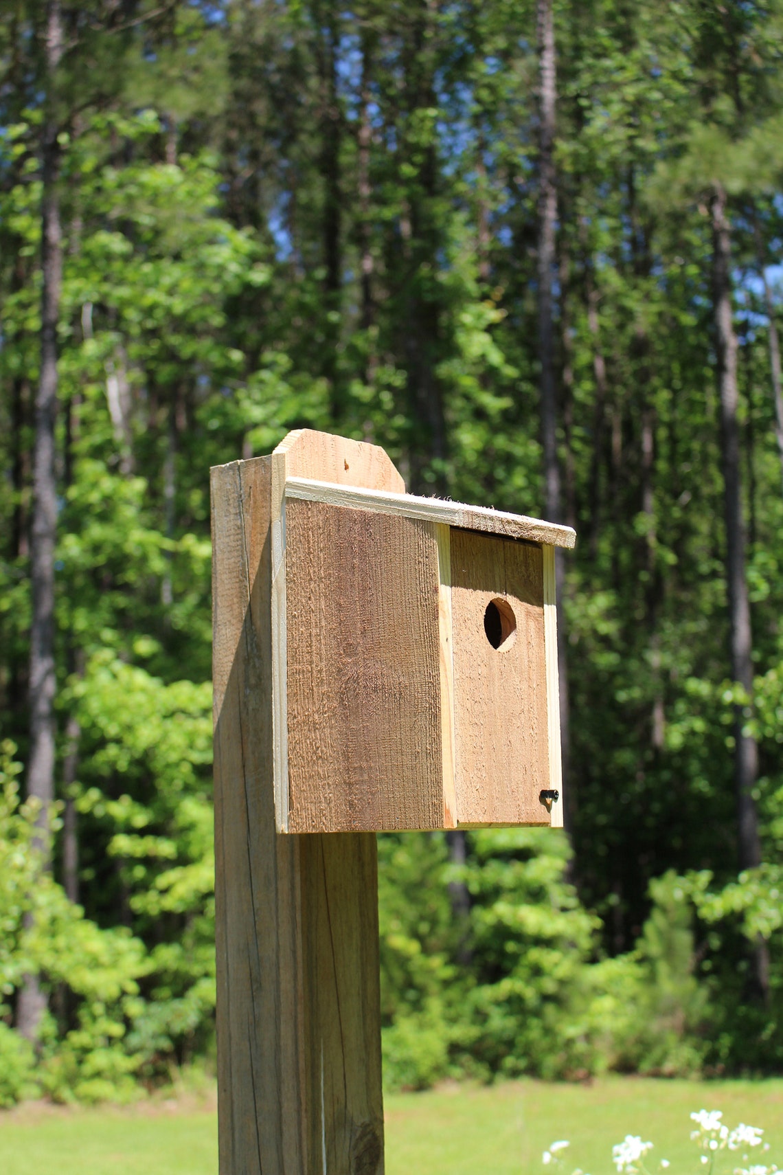 Cedar Bluebird House - Etsy
