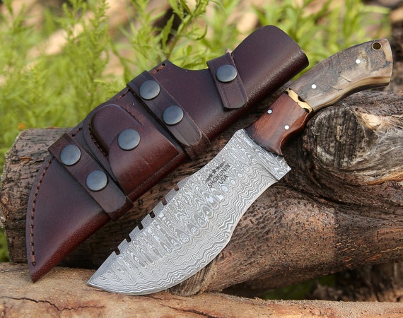 DAMASCUS HUNTING KNIFE, 10.5", Custom Tracker Knife, Damascus steel knife, Exotic Ram Horn & Walnut wood handle, leather sheath