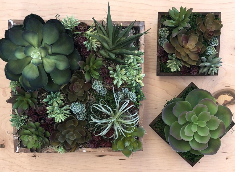 Wall Planter Set Succulent Vertical 50