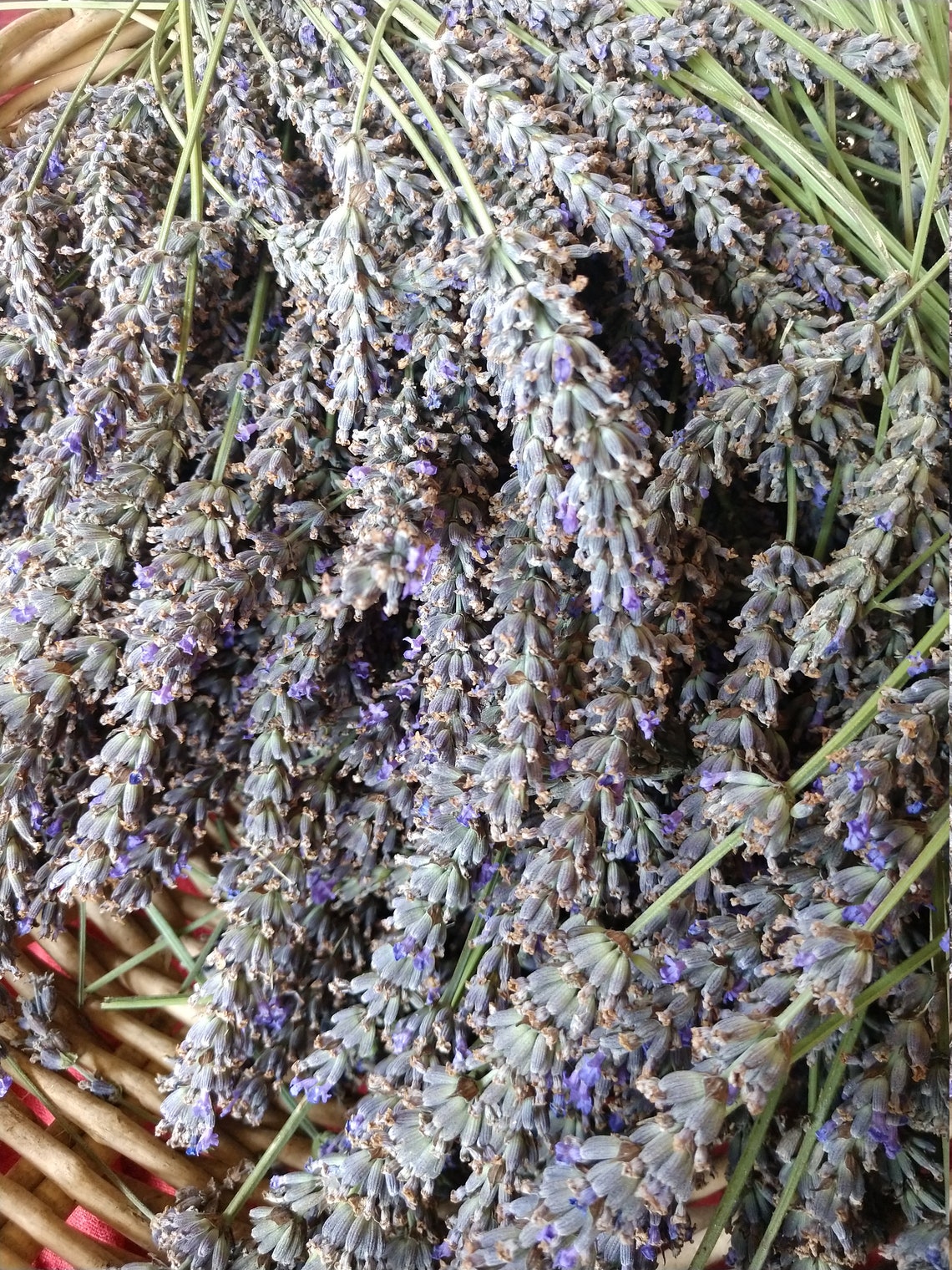 Dried Lavender Flowers Organic 1 Oz about 1 Cup Great for Etsy