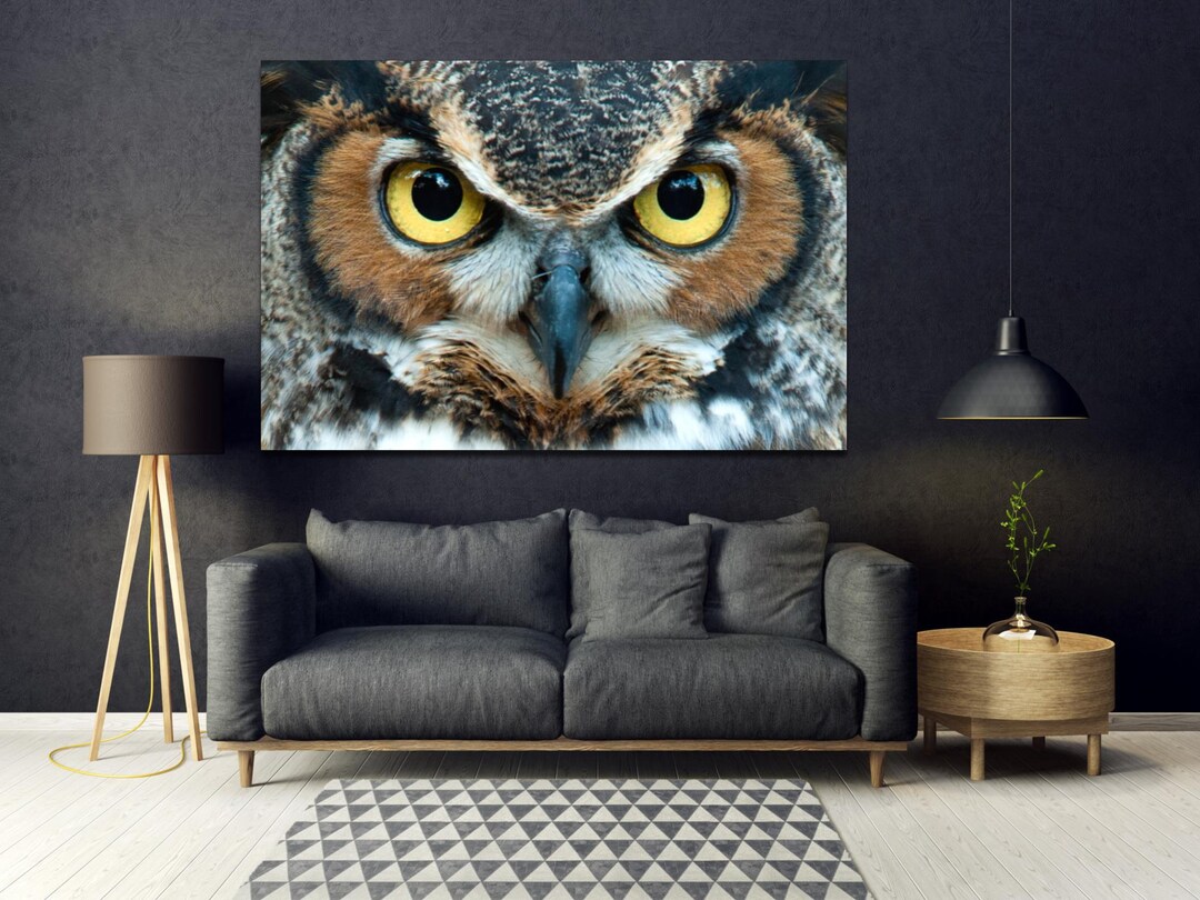 Owl Wall Art, Owl Modern Wall Decor, Stretched Ready to Hang - Etsy