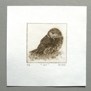 Owl Small Etching Print, Bird of Prey