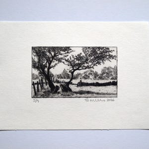 Landscape Hand Pulled Drypoint Print of Two Trees