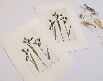 Original Drypoint Intaglio Print Grasses - Grasses Limited Edition Print