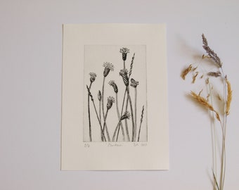 Drypoint Etching Nature Print - Grasses Intaglio Print
