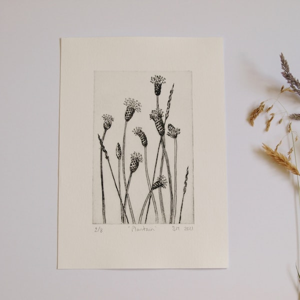 Drypoint Etching Nature Print - Grasses Intaglio Print